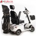 Endura LandCruiser Golf Scooter